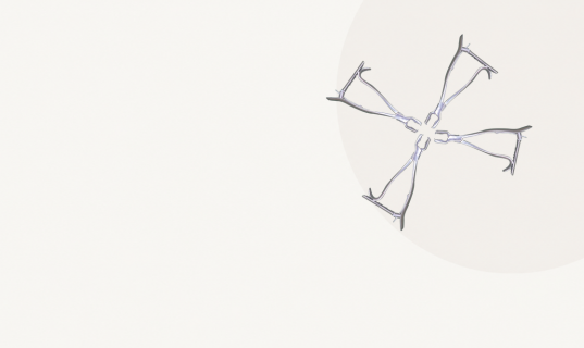 banner1