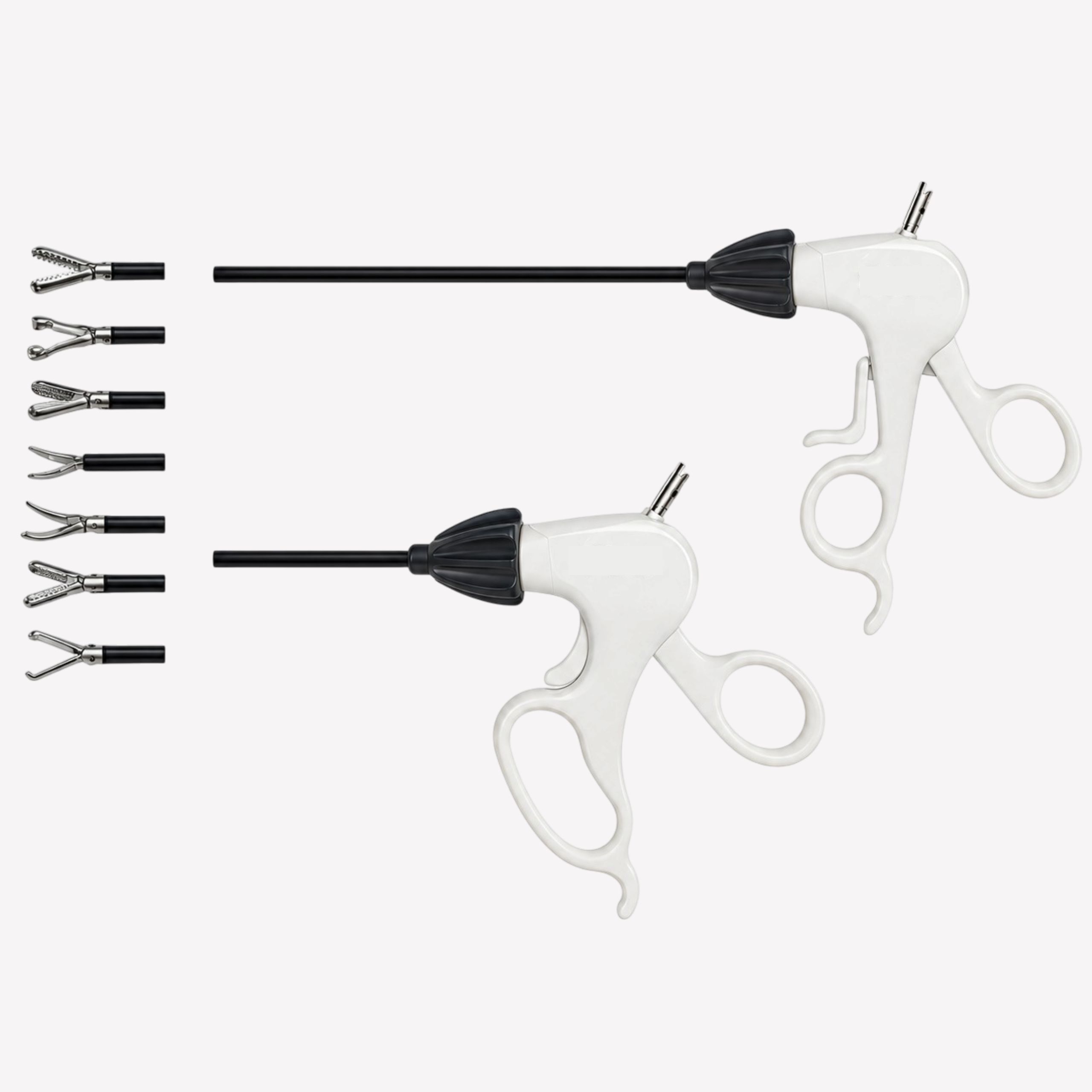 Maryland Dissector