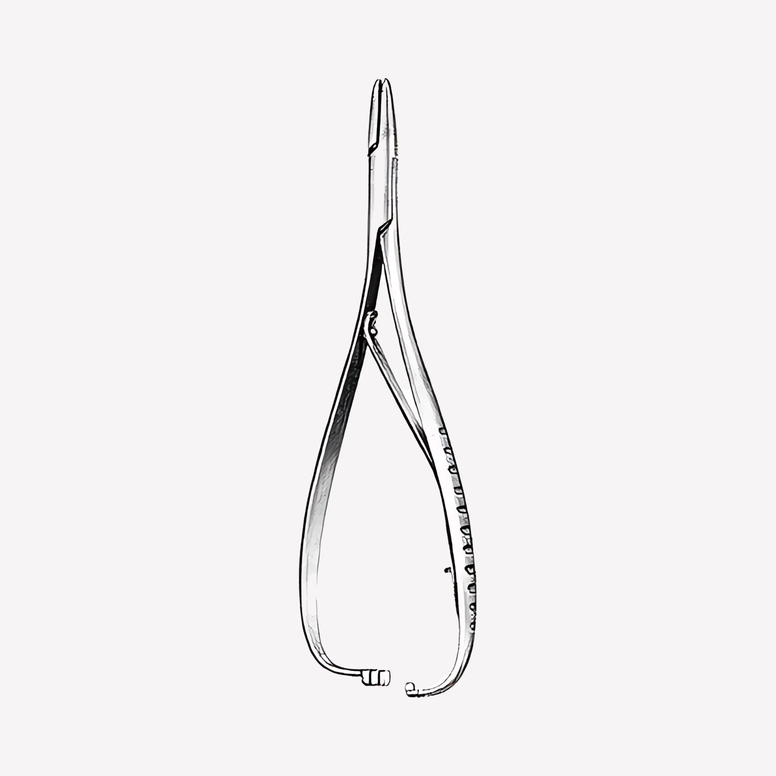 Mathieu Needle Holder